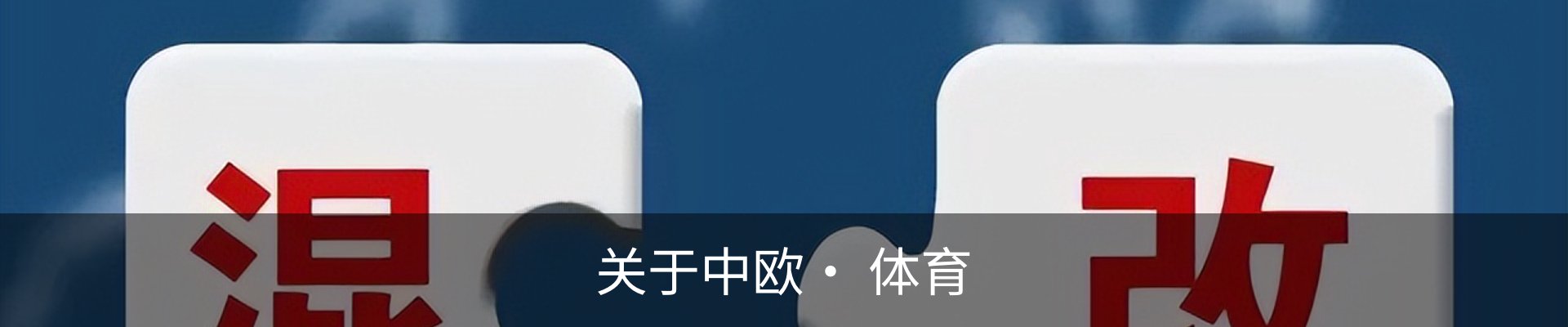 关于中欧· 体育