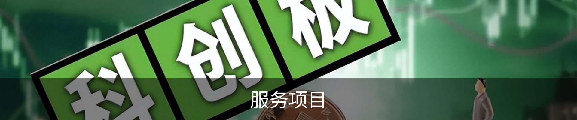 服务项目